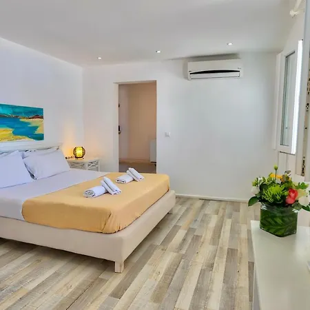 With-inn Mykonos 투를로스