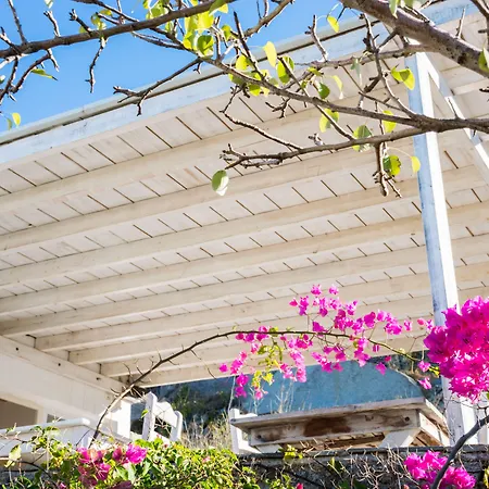 With-inn Mykonos بيت ضيافة